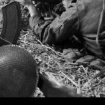 Sniper