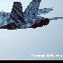 tiger hornet