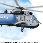 The Sea King