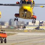 cormorant39b.jpg
