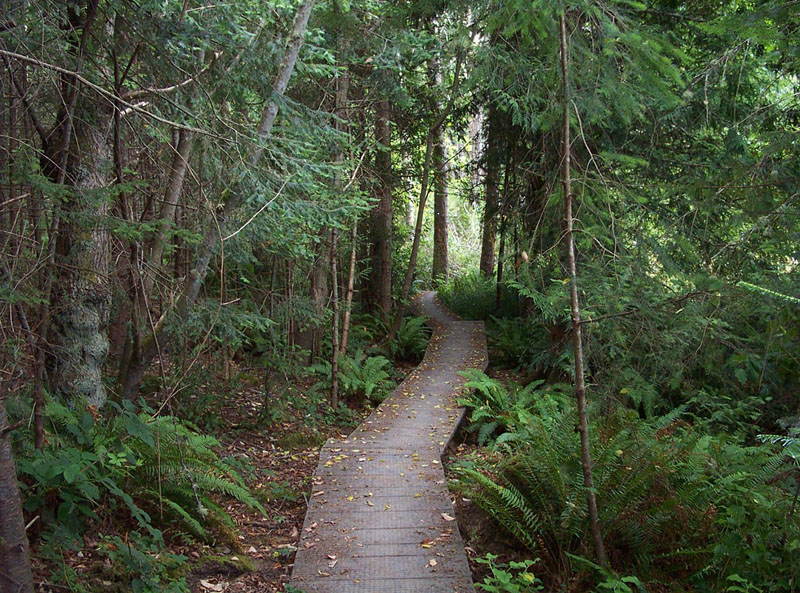 Boardwalk on trail at Witty's Lagoon.