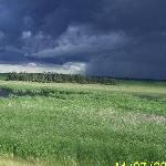 Alberta Work Pics