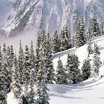 Winter in BC