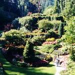 Butchard Gardens