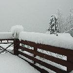 Too much snow!