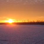 Frozen Pond in SK