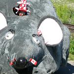Giant Mouse!