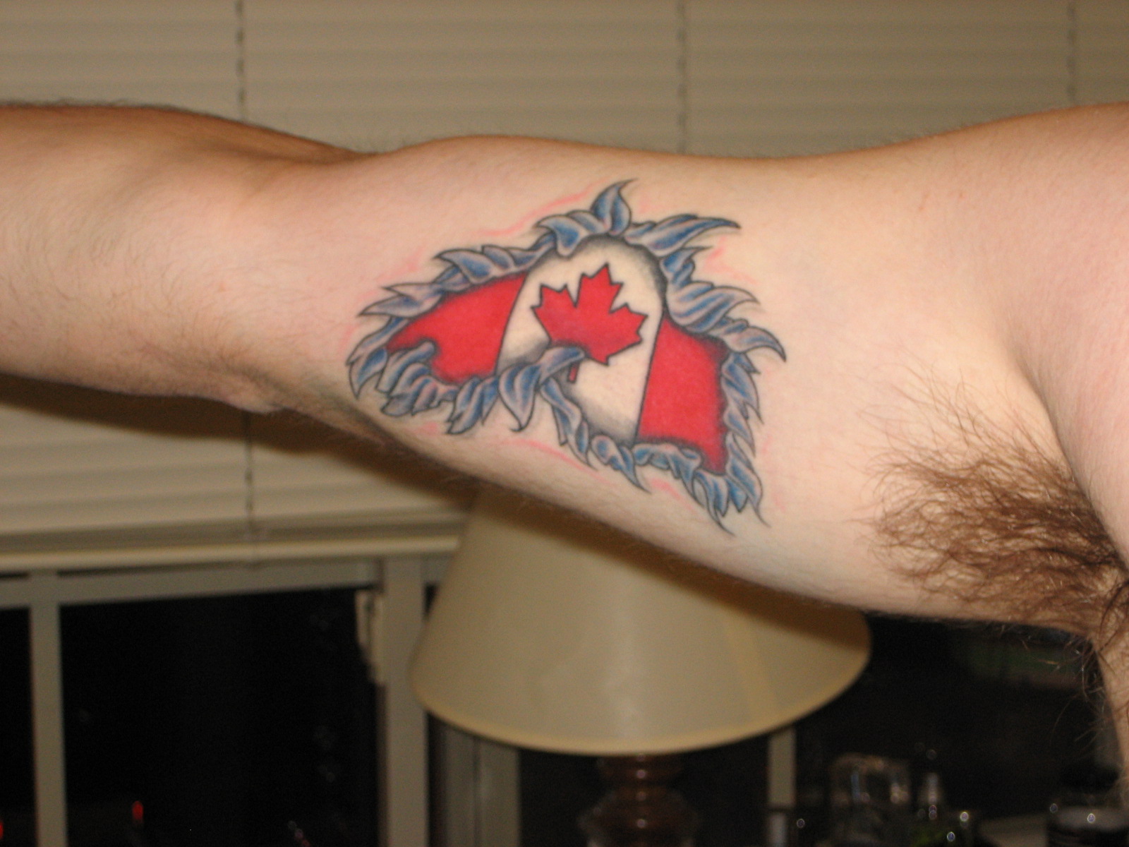 Canadian flag in the shape of Lake Superior.