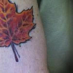 My Leaf