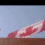 Canadian Flag In Bosnia