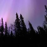 more northern lights