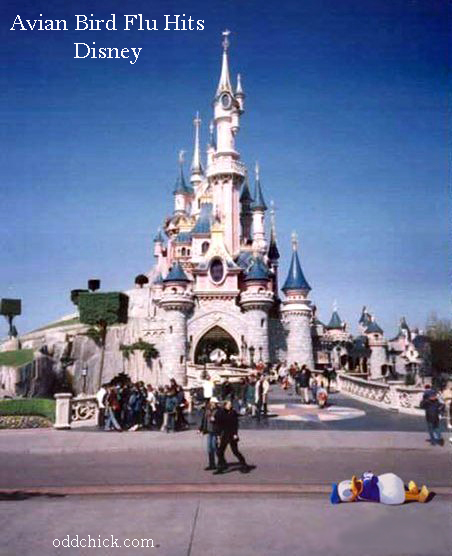 Avian Flu hits Disney