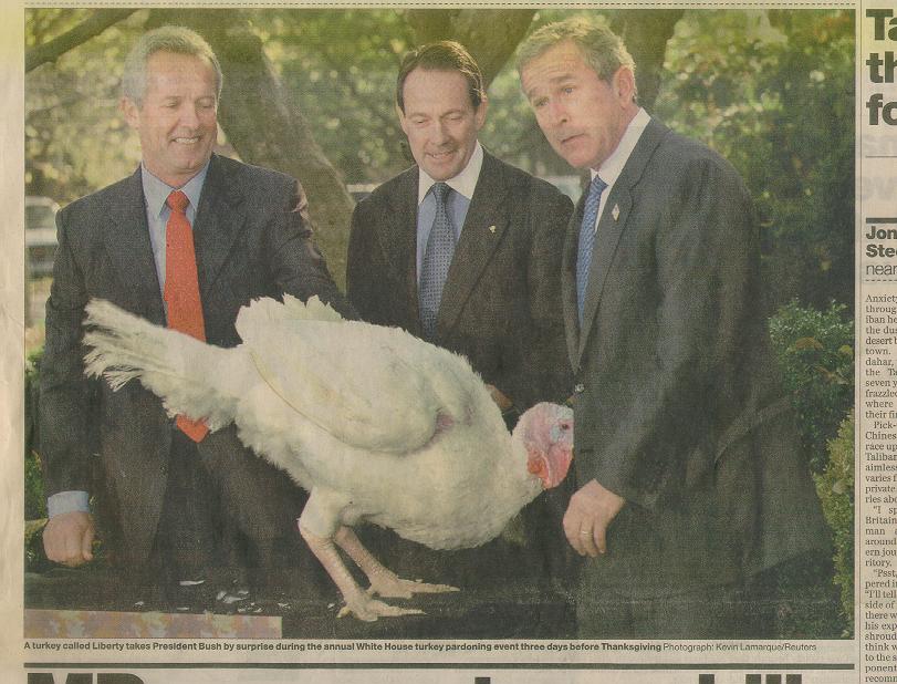 Frisky Turkey