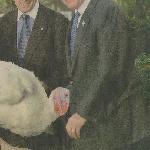 bushandturkey.jpg