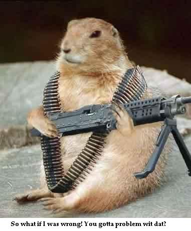 Groundhogs are only accurate 37% of the time.