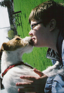 Jack Russell Terrier Daisy May, age 3
