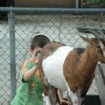 Future Vet Maybe?