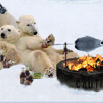 image.gif