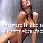 Software Is Like Sex