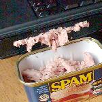 spam-c07