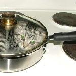 What is your favorite Chinese dish ???