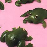Frogs..