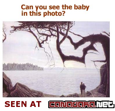 Baby tree