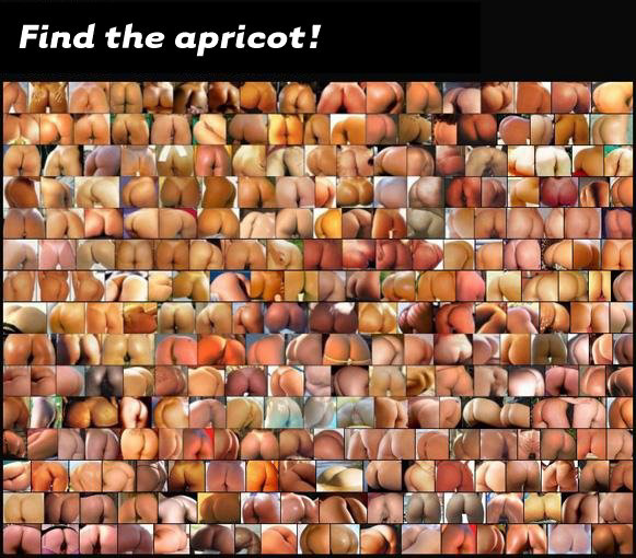 Find the Apricot! I have no idea if there's one there.