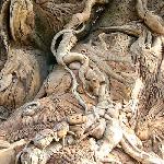 Sculpted tree