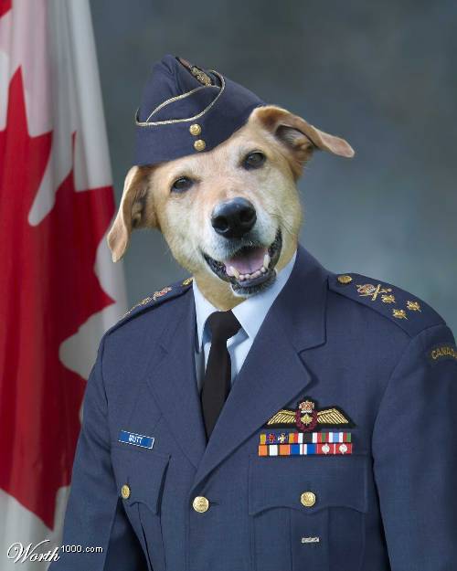 Chief of Air Staff?