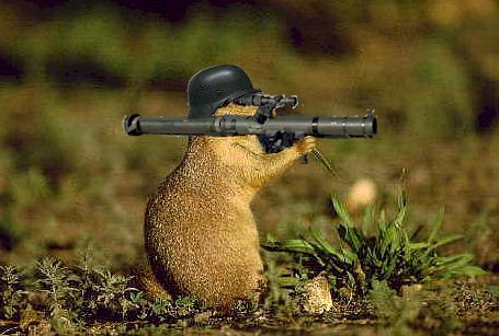 Saskatchewan Army