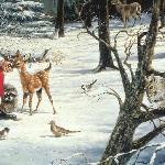 Santa in the forest