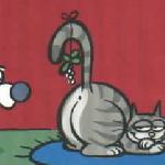 kitty mistletoe