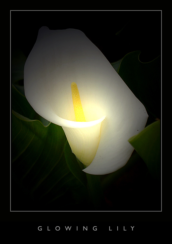 Better than the first one I did, or so I think.

Stock from http://www.deviantart.com/deviation/37053952/