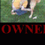 DOG OWNED