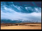 Afternoon Weather