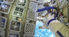 It's Alive! Algae Survive 16 Months Exposure To Space