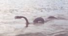 Mysterious creature lurking in Vancouver Island lake