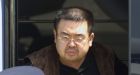 Kim Jong-un's half-brother assassinated by North Korea agents, South alleges