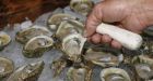 B.C. oysters linked to hundreds of norovirus infections across Canada