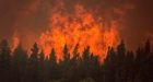 Fire crews enjoy slow start to wildfire season, but brace for hot, dry summer