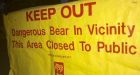Grizzly bear in southwest Calgary prompts closure of Griffith Woods Park