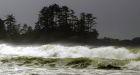 Tofino resort experiences 'perfect storm' during extreme wave warning event