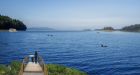 Nova Scotia shortlisted as potential site for world's first whale sanctuary