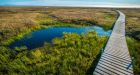 New study predicts 'radical re-shaping' of Arctic landscape by end of century