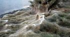 Giant spider-web cloaks land in Aitoliko, Greece