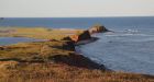 Lack of oxygen in Gulf of St. Lawrence needs emergency action, says activist