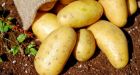 Woman charged after allegedly urinating on Walmart potatoes