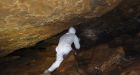 Cave full of bats in China identified as source of virus almost identical to the one killing hundreds today