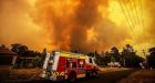 Australia fires were far worse than any prediction